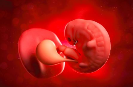 王建国